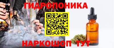 стаф Лесосибирск